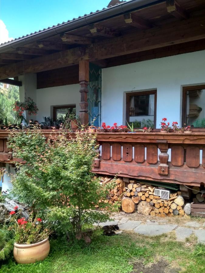 "Michls Hoamat" Ferienwohnung 6-8 Personen Solden Luaran gambar